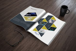 展示 平面 书装 MrDu082